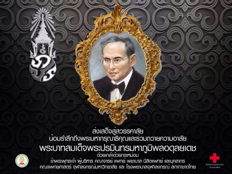 The King of Thailand Rama IX